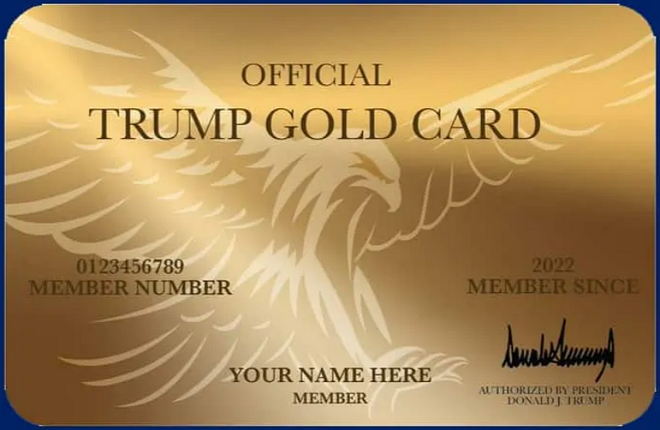 골드 카드 비자(Gold Card Visa)