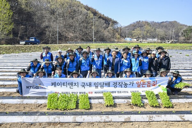KT&G가 경북지역 산불피해를 입은 잎담배 농가 지원에 나선다. / 사진=KT&G 제공