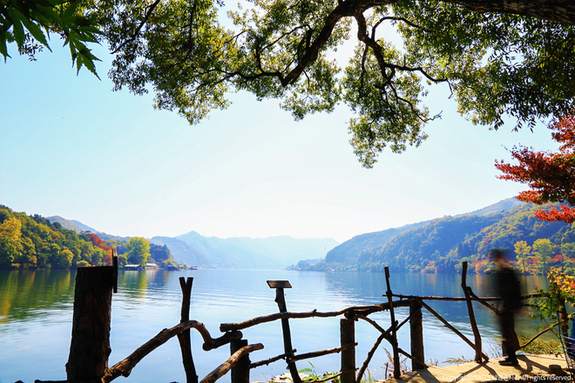 한국, 베트남 등 동남아 5개국 단체비자 수수료 면제 6개월 연장