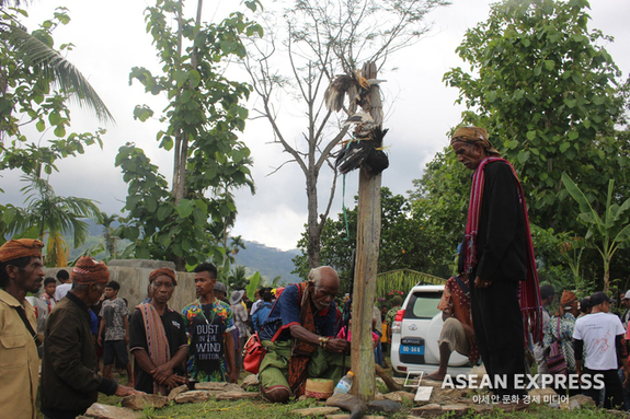 [최창원의 동티모르워치9] 나무에 걸어놓은 약속 ‘타라 반두’